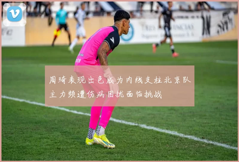 周琦表现出色成为内线支柱北京队主力频遭伤病困扰面临挑战