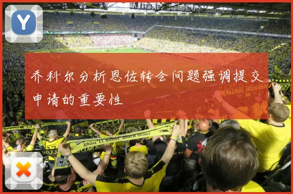乔科尔分析恩佐转会问题强调提交申请的重要性